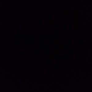 Meet your Posher, Raymond